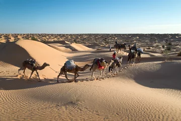 Fotobehang Méharée dans le désert du Sahara - Tunisie © Delphotostock