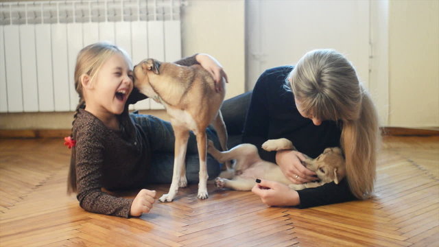 girls play with dogs