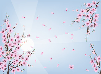pink cherry tree branches on blue background
