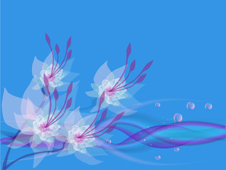 blue illustration with four light flowers