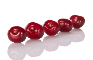 Five sweet cherries, are laid out in row