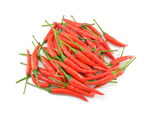Hot red chili or chilli pepper isolated on white background.
