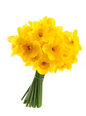 Printed kitchen splashbacks Narcissus Bouquet of yellow daffodils. Isolated