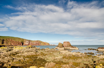 St Abbs rocky shoreline