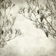 textured old paper background