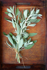 sage plant on wooden table