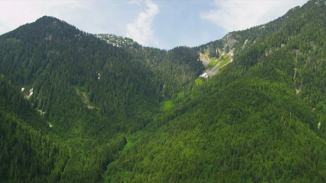 Aerial view of forestation on mountainsides, Canada