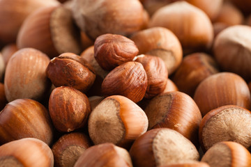 Hazelnuts close up