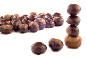 Fototapeta premium Chestnuts