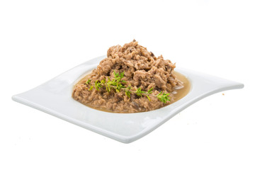 Canned Tuna fillet