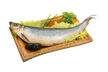 Salted Herring