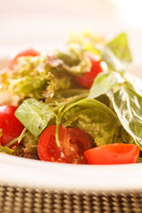 vegetable salad