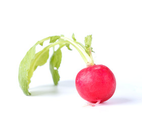 ripe radish