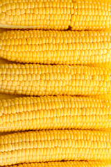 fresh corn, close up