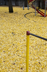 Fototapeta premium 秋の公園