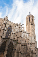 Fototapeta na wymiar Barcelona: Gothic Cathedral of Santa Eulalia in Barri Gotic