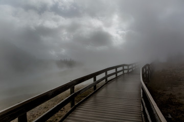 bridge in the fog