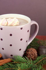 Cup of hot cacao with chocolates and fir branches