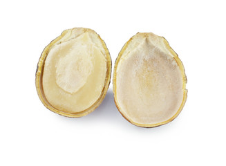 dry watermelon seed on white background