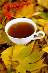 Cup of hot beverage, on yellow leaves background