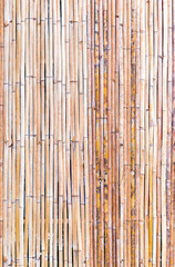 Bamboo Background