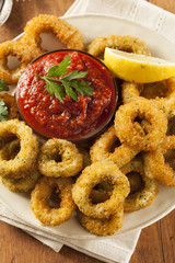 Homemade Fried Breaded Calamari