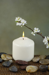 Obraz na płótnie Canvas Zen rock and beautiful spring flower on mat