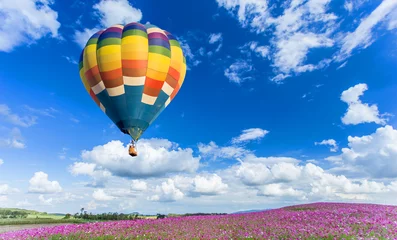 Crédence de cuisine en verre imprimé Ballon Montgolfière colorée au-dessus des champs de fleurs roses