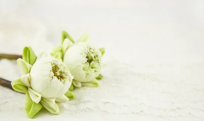 Photo sur Plexiglas fleur de lotus Beau lotus blanc avec pétale plié sur blanc