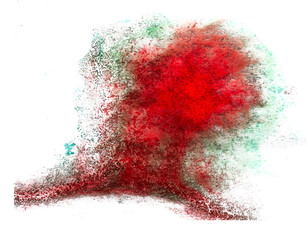 red, green macro spot blotch texture isolated on a white backgro