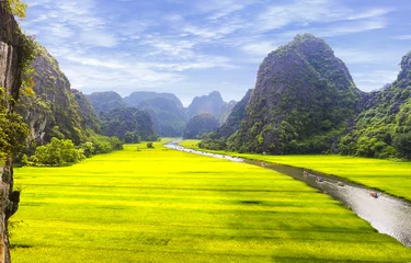 Wall murals Yellow Rice field and river, NinhBinh, vietnam landscapes