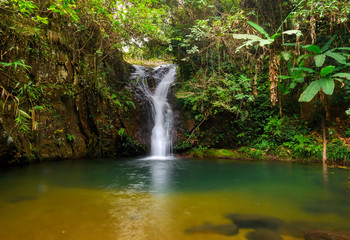 rain forest waterfall