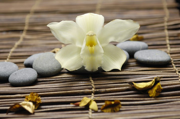 Fototapeta na wymiar Yellow orchid with flower dried petals and pebbles on mat