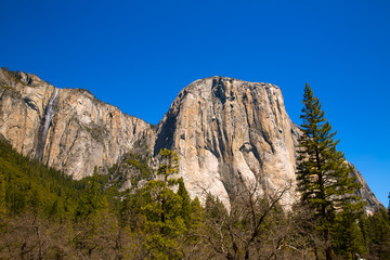 Fototapeta na wymiar El Capitan Yosemite National Park California