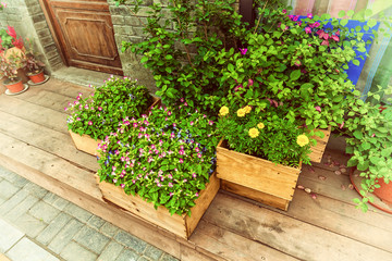 Flowers in wooden pot at the store entrance