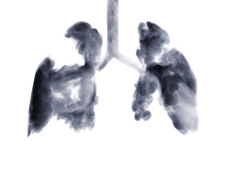 Smoke shaped as human lungs.