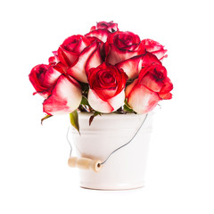 roses in the bucket