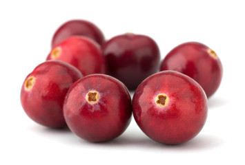 Cranberry isolated on white background closeup