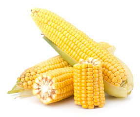 Fresh raw corn cobs isolated on the white background