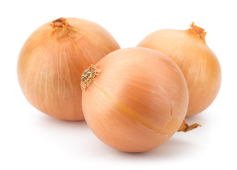 Fototapeta premium Fresh bulbs of onion on a white background