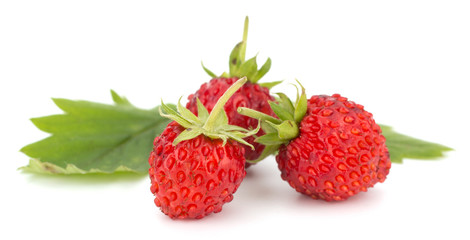 Wild strawberry isolated on white background