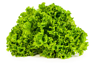 Obraz premium Fresh lettuce