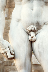 Michelangelos David in Florence