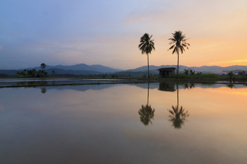 Harmonic reflection of sunset at Sabah, Borneo, Malaysia