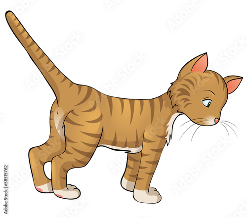 "verspielte getigerte Katze" Stockfotos und lizenzfreie