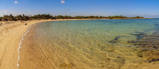 Costa salentina: riserva naturale di Torre Guaceto.-BRINDISI-