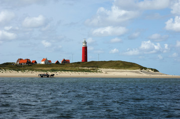 texel faro