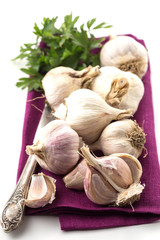 Garlic on on white background