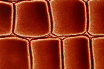 Texture with ornament