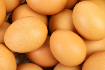 Close up of many fresh eggs